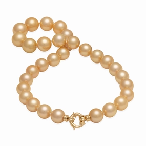 18-19" South Sea Gold Pearl Strand with Gold Clasp - 13-16mm Elite Shape