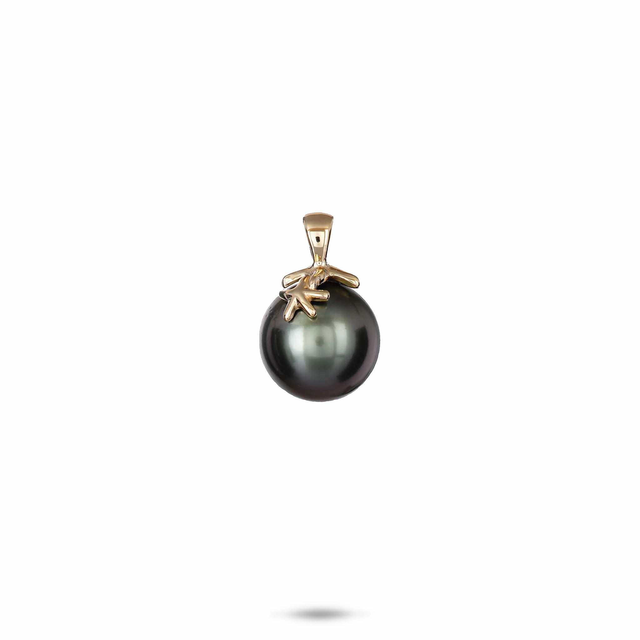 Reefs Starfish Tahitian Black Pearl Pendant in Gold - 10-11mm Boho Style