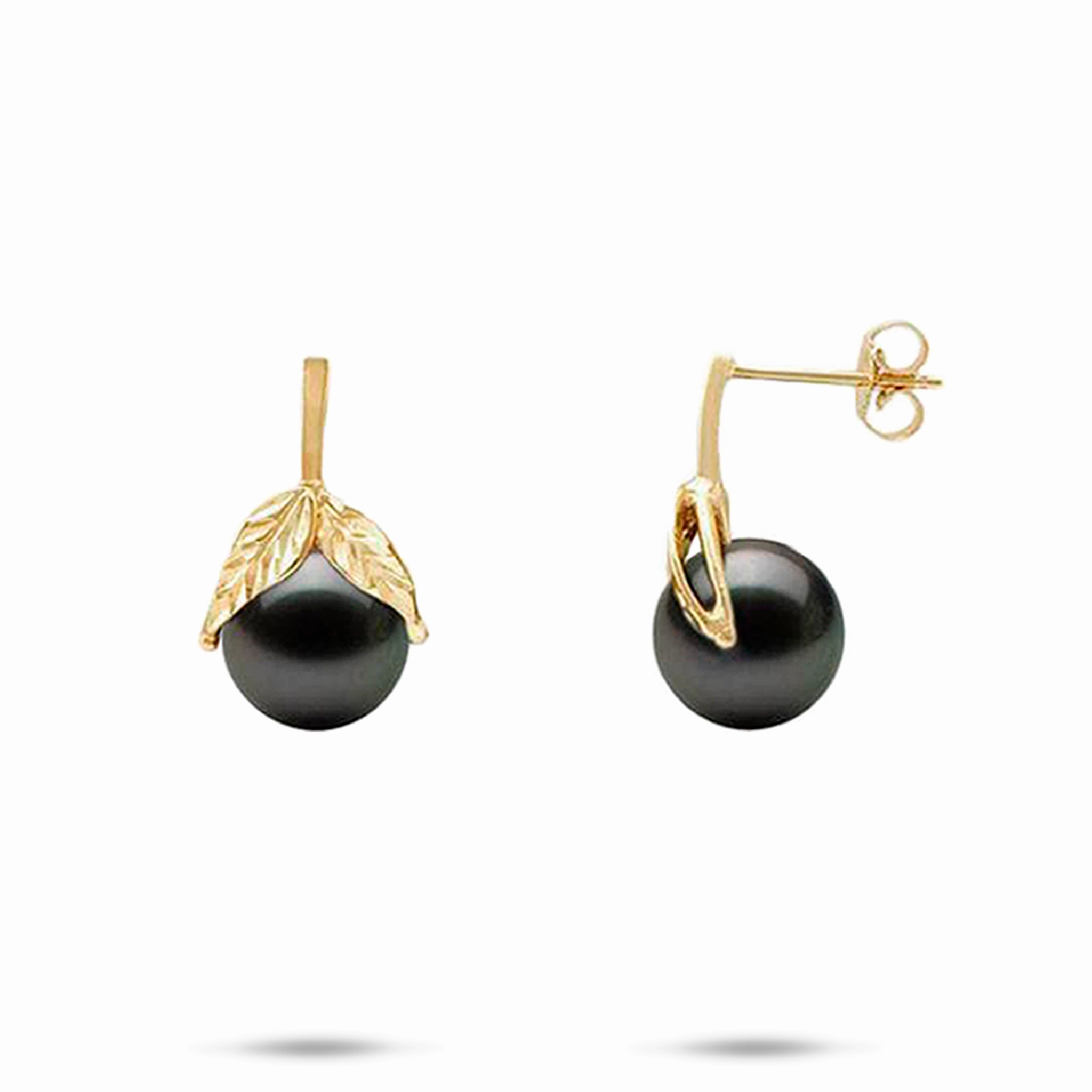 Maile Tahitian Black Pearl Earrings in Gold - 9-10mm Charming Detail Gift Box