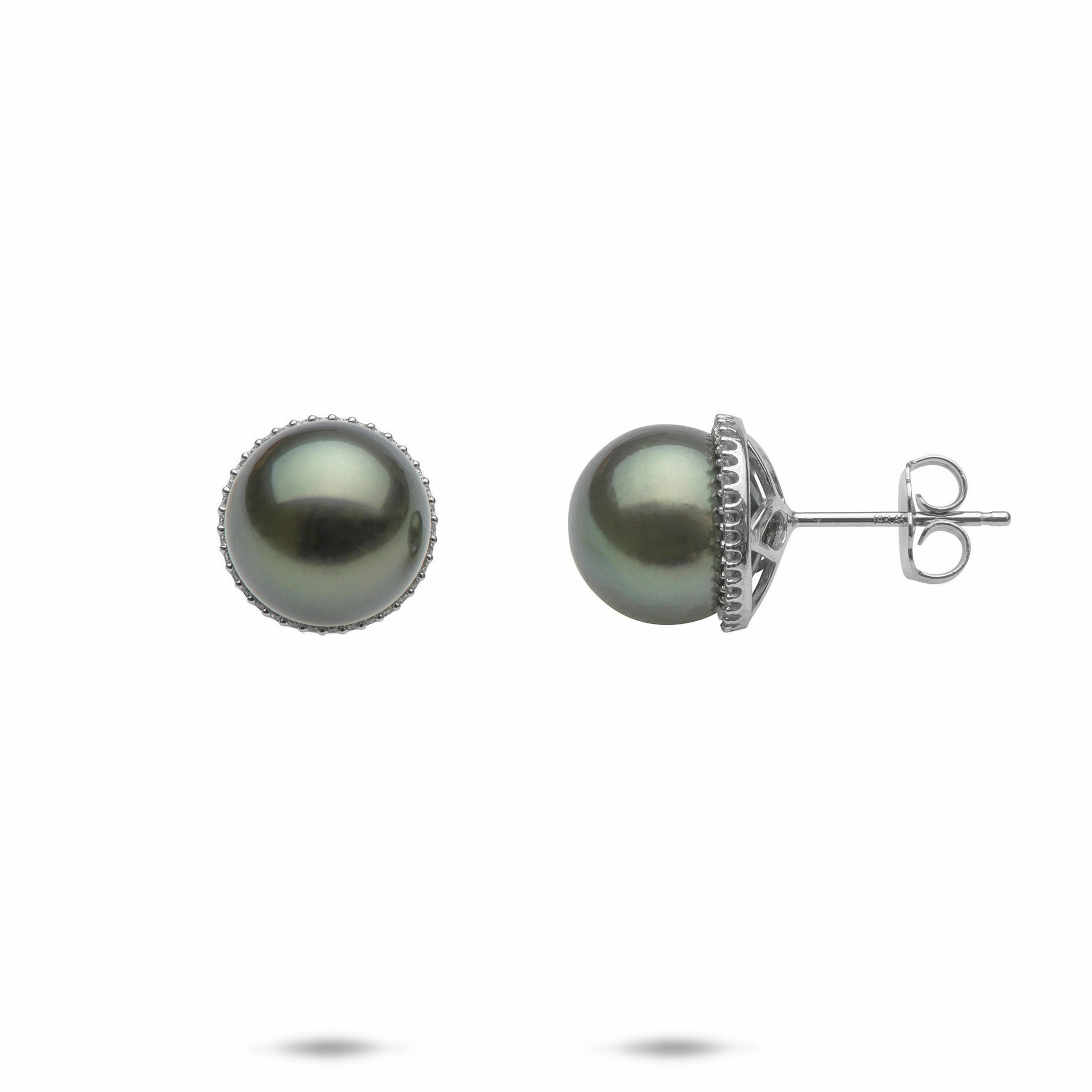 Tahitian Black Pearl Earrings in White Gold with Diamonds - 9-10mm Artisan Edge
