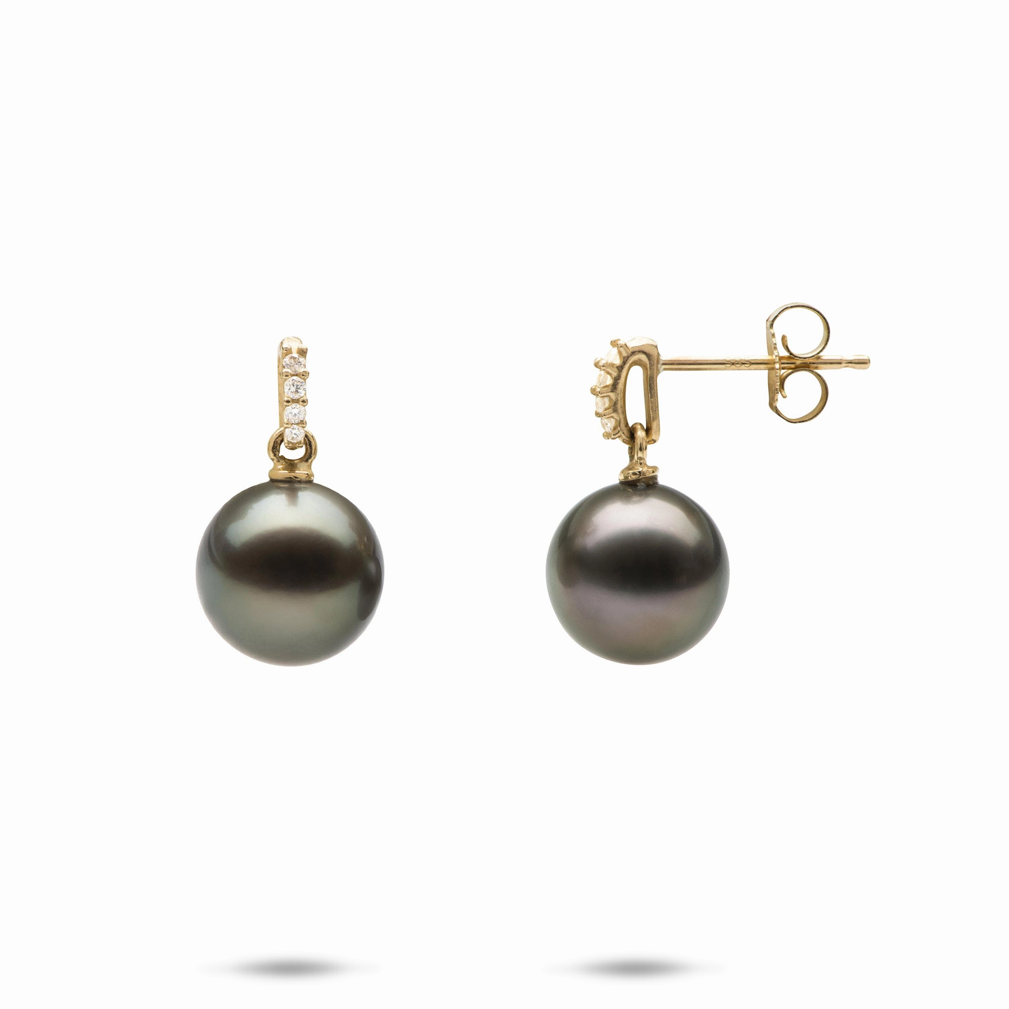 Tahitian Black Pearl Earrings in Gold with Diamonds - 9-10mm Cool Fit