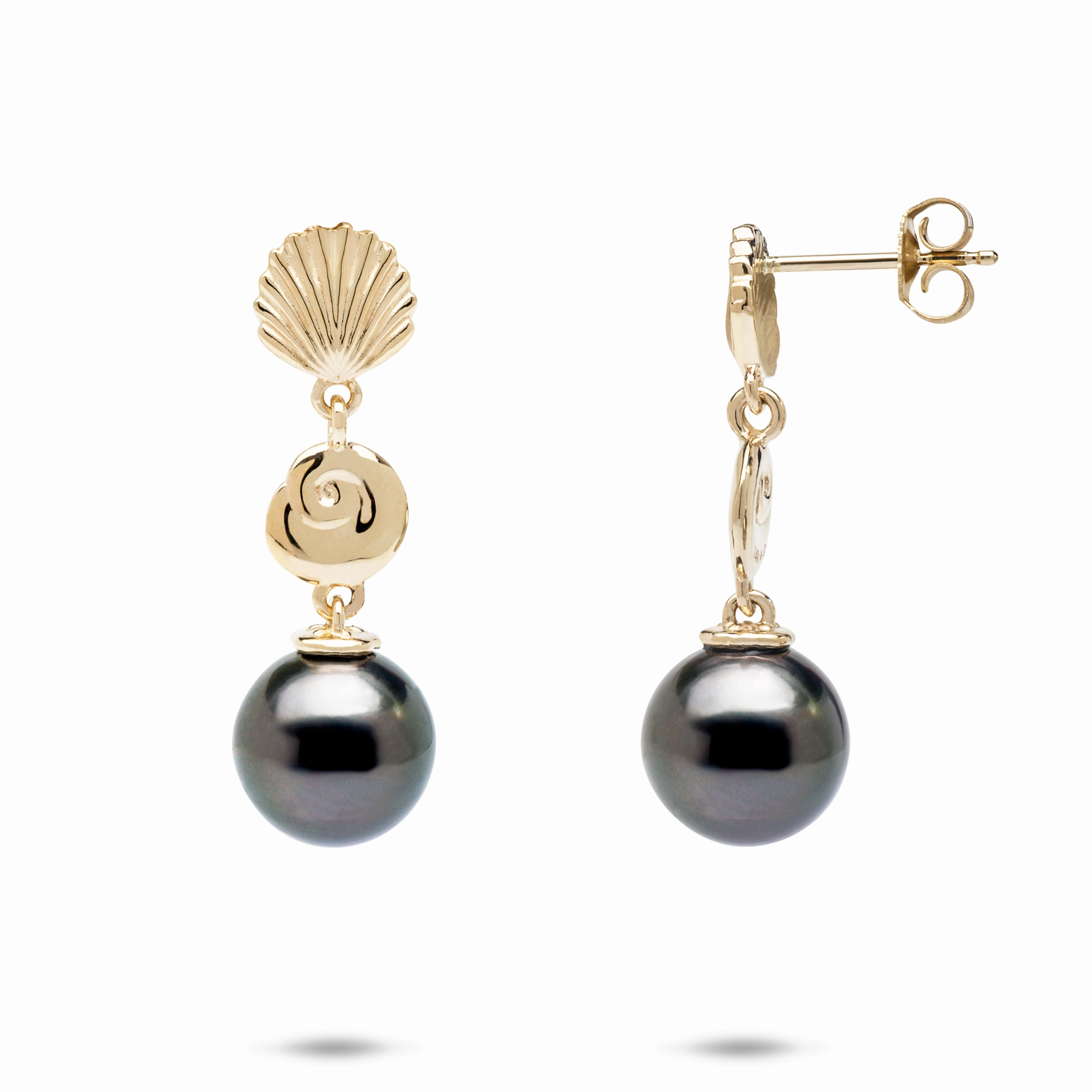 Polished Pieces Understated Style Seashells Tahitian Black Pearl Earrings in Gold - 9-10mm