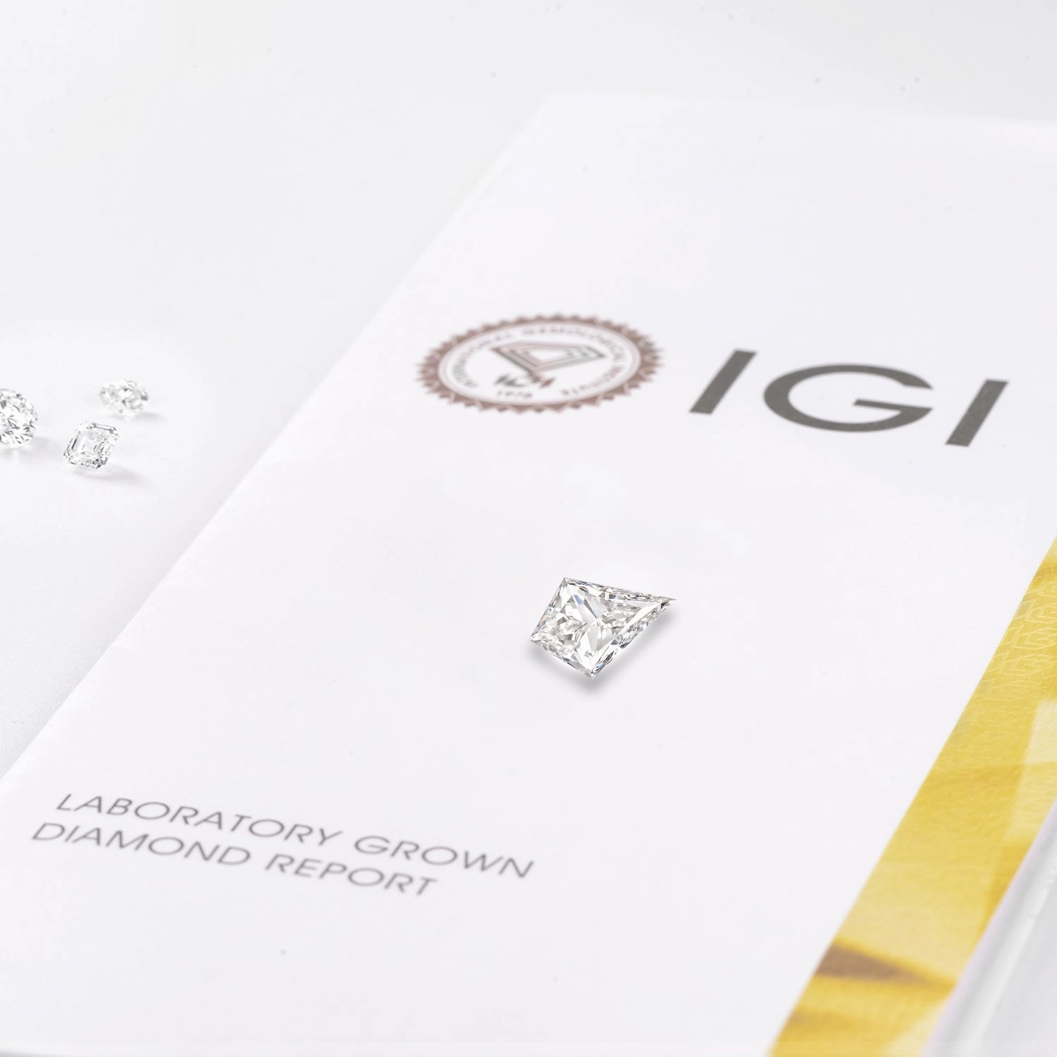 Kite Cut Blue Lab Grown Diamond Leafy Cage Ring Set - Vern Sisterhood Gift Vintage Gift