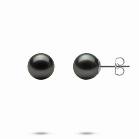 Tahitian Black Pearl Earrings in White Gold - 9-10mm Classic Attire Vibrant color