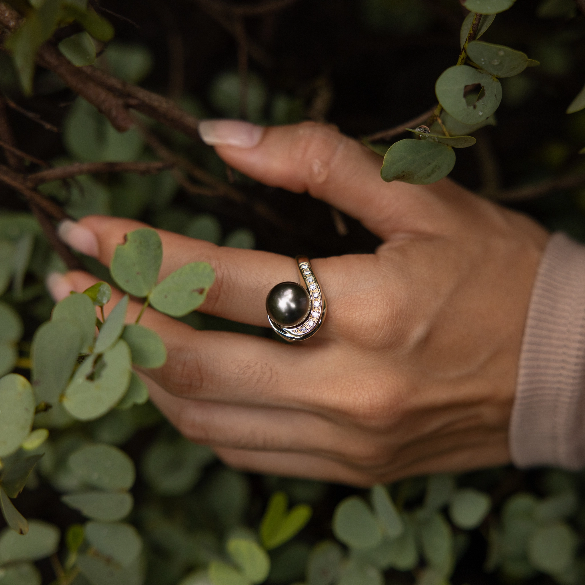 Night Feature Opulent Look Tahitian Black Pearl Ring in Gold with Diamonds - 10-11mm