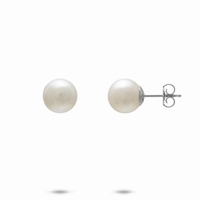 South Sea White Pearl Earrings in White Gold - 8-9mm Daily Favorite