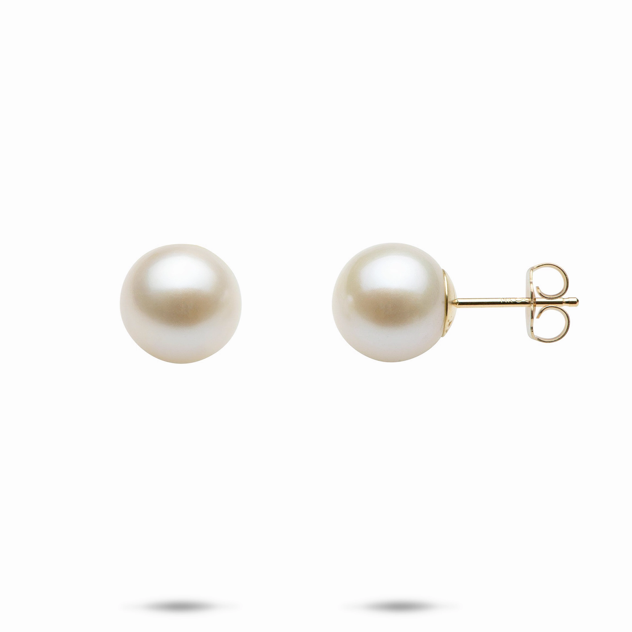 Delicate Finish White Freshwater Pearl Earrings in Gold - 9-10mm