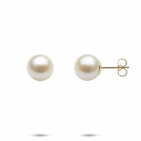 Intricate Work Sophisticated Detail White Freshwater Pearl Earrings in Gold - 9-10mm